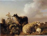 unknow artist Sheep 150 oil painting on canvas